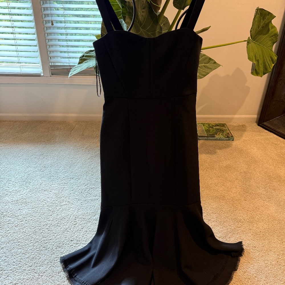 Elegant NWT Zara Dress